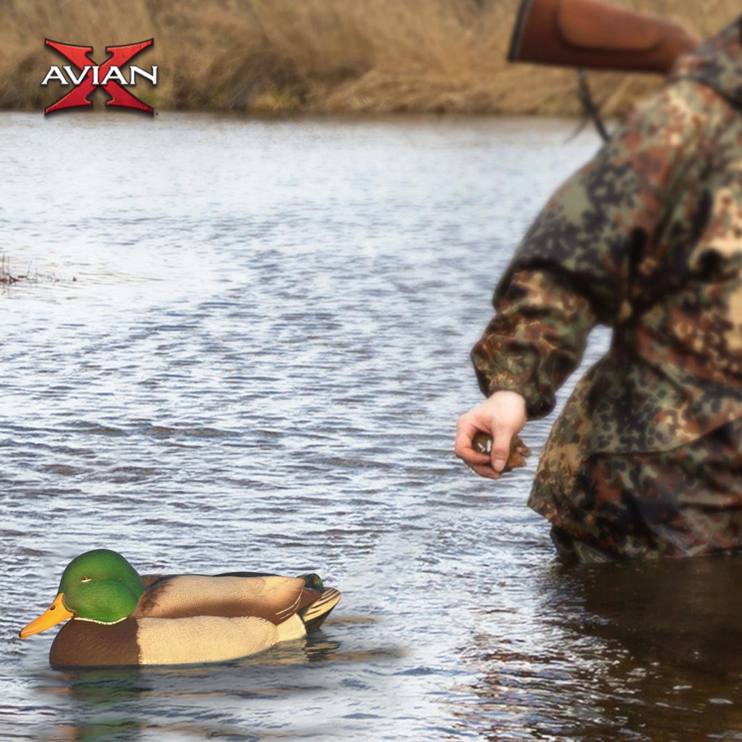 Avian X Power Swimmer Mallard Drake Motion Duck Decoy with 10+ Hour Battery
