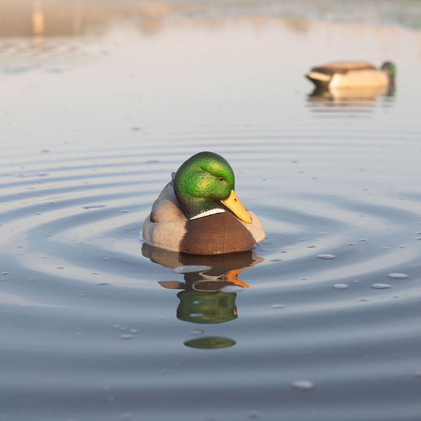 Avian-X Power Shaker Mallard Drake Motion Duck Decoy Floating Surface Preener