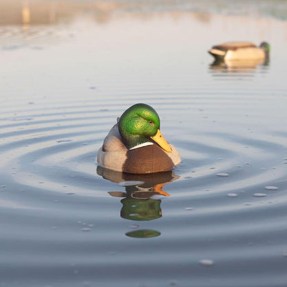 Avian-X Power Shaker Mallard Drake Motion Duck Decoy Floating Surface Preener