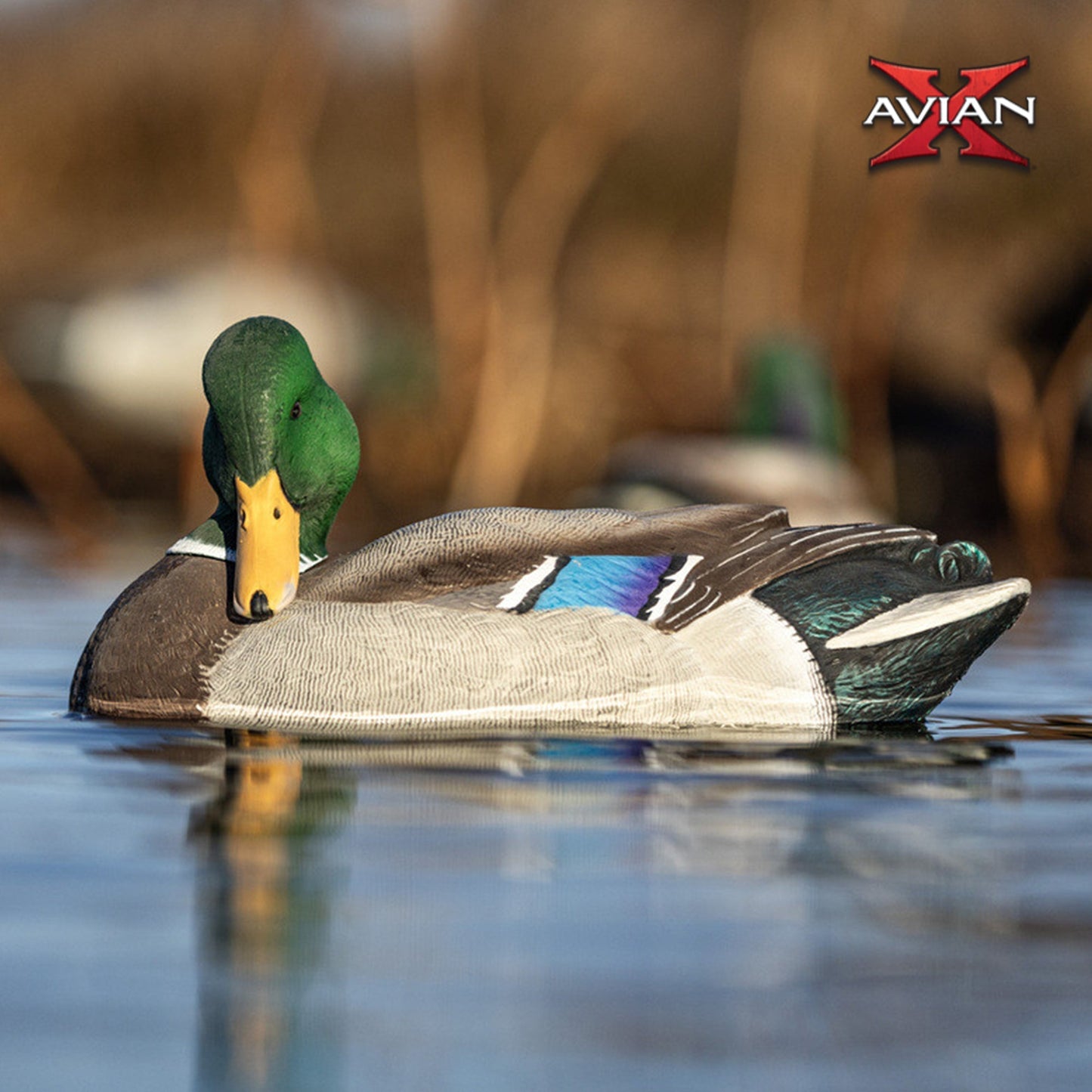 Avian-X Power Shaker Mallard Drake Motion Duck Decoy Floating Surface Preener