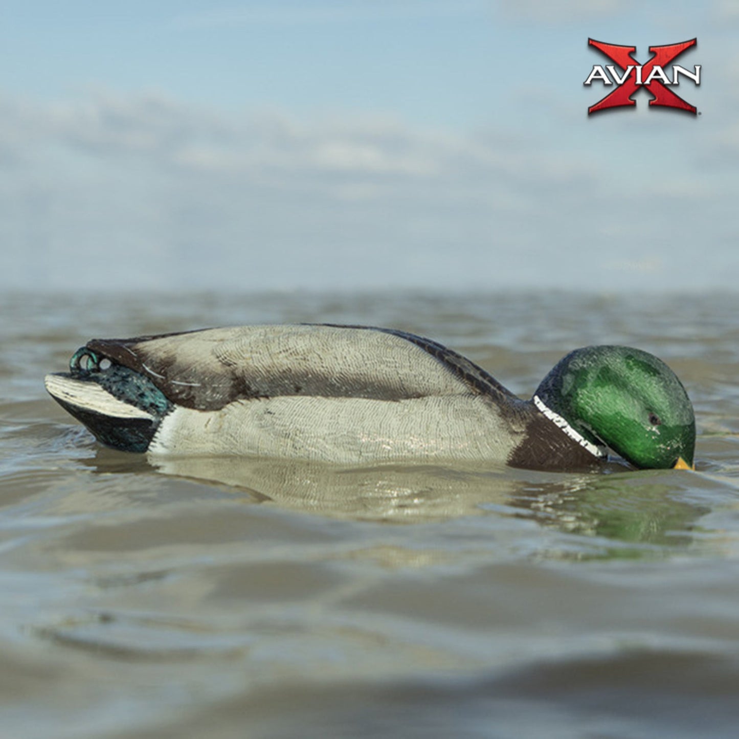 Avian-X Power Shaker Mallard Drake Motion Duck Decoy Floating Surface Feeder