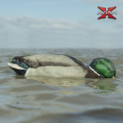 Avian-X Power Shaker Black Duck Motion Hunting Decoy Floating Surface Feeder