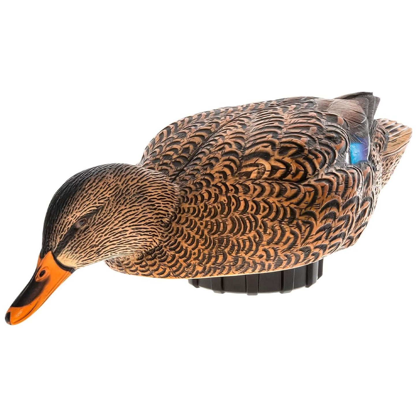 Avian-X Power Shaker Mallard Hen Motion Duck Decoy Floating Surface Feeder
