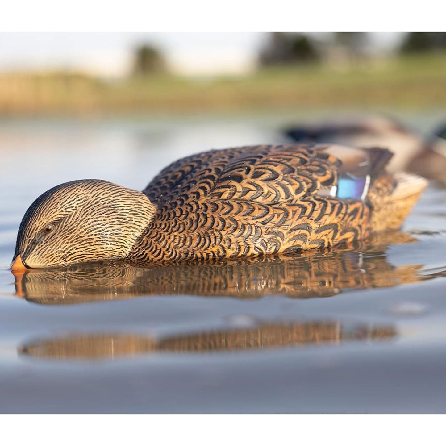 Avian-X Power Shaker Mallard Hen Motion Duck Decoy Floating Surface Feeder