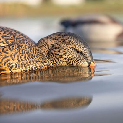 Avian-X Power Shaker Mallard Hen Motion Duck Decoy Floating Surface Feeder