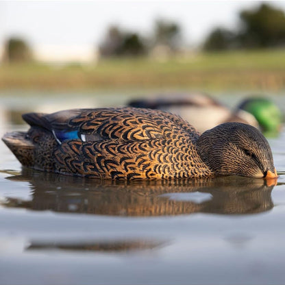 Avian-X Power Shaker Mallard Hen Motion Duck Decoy Floating Surface Feeder