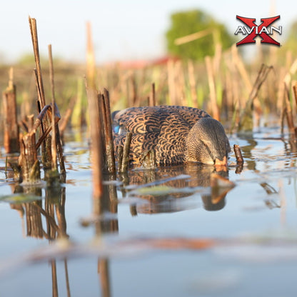 Avian-X Power Shaker Mallard Hen Motion Duck Decoy Floating Surface Feeder