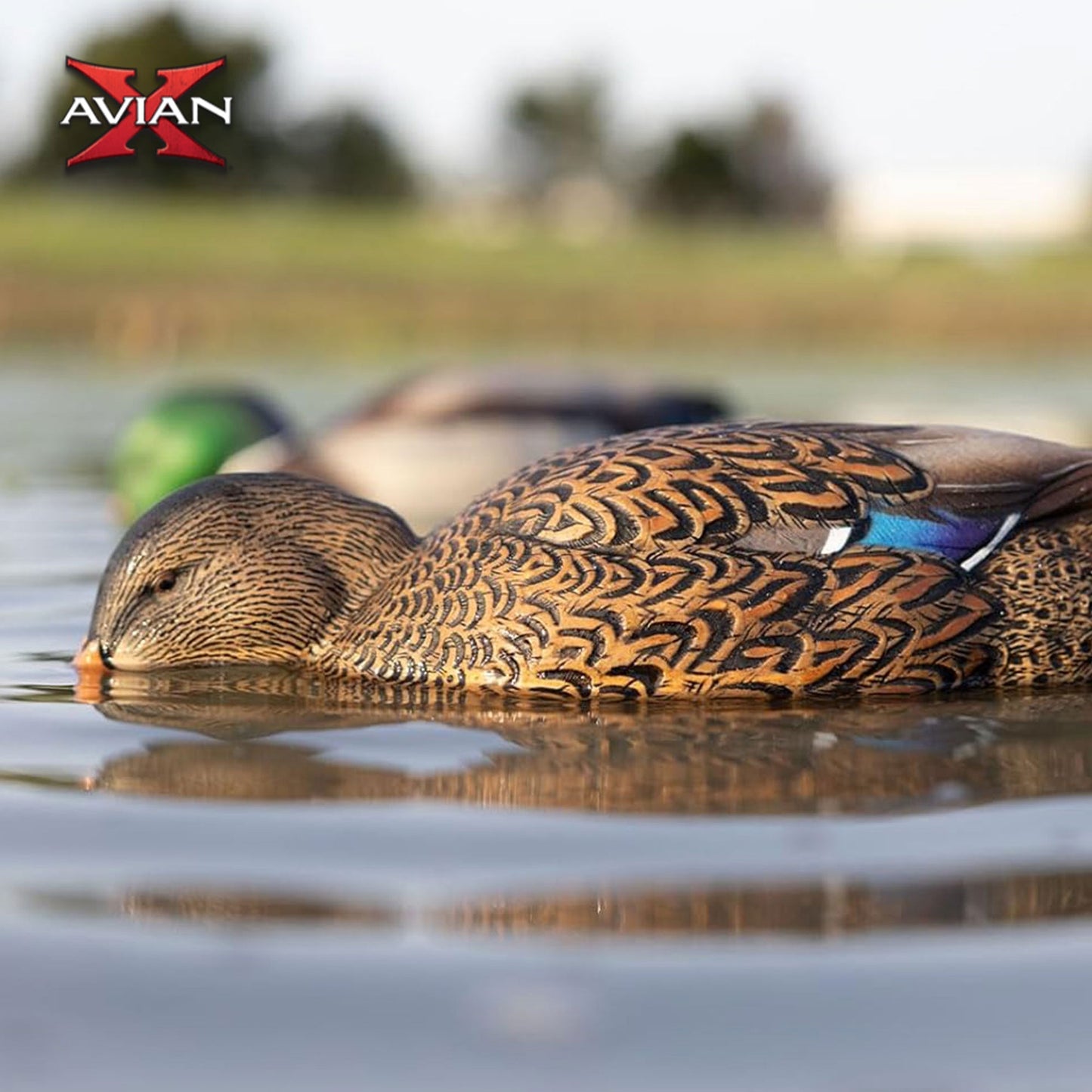 Avian-X Power Shaker Mallard Hen Motion Duck Decoy Floating Surface Feeder