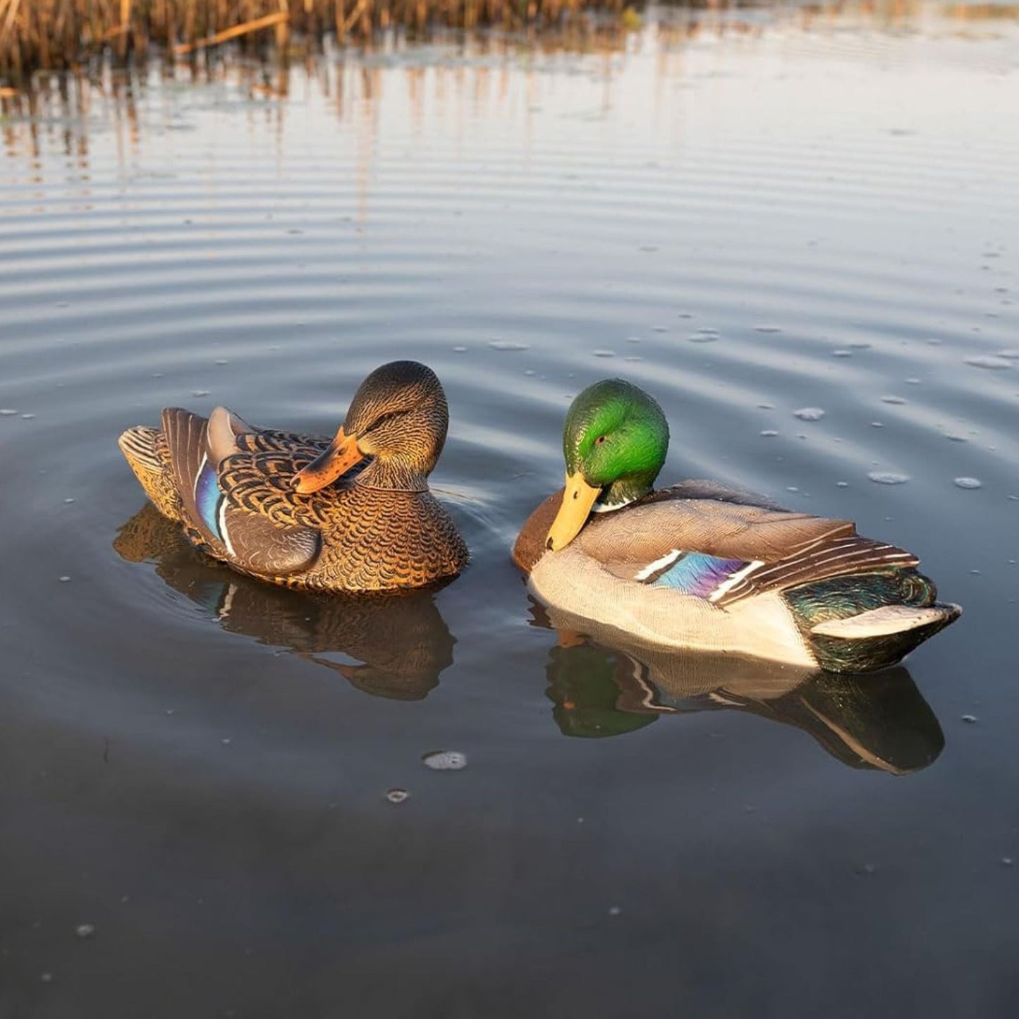 Avian X Power Shaker Motion Mallard Hen Preener Decoy, Mimic Realistic Motion