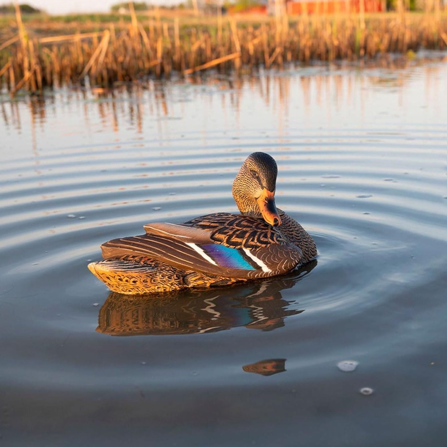 Avian X Power Shaker Motion Mallard Hen Preener Decoy, Mimic Realistic Motion