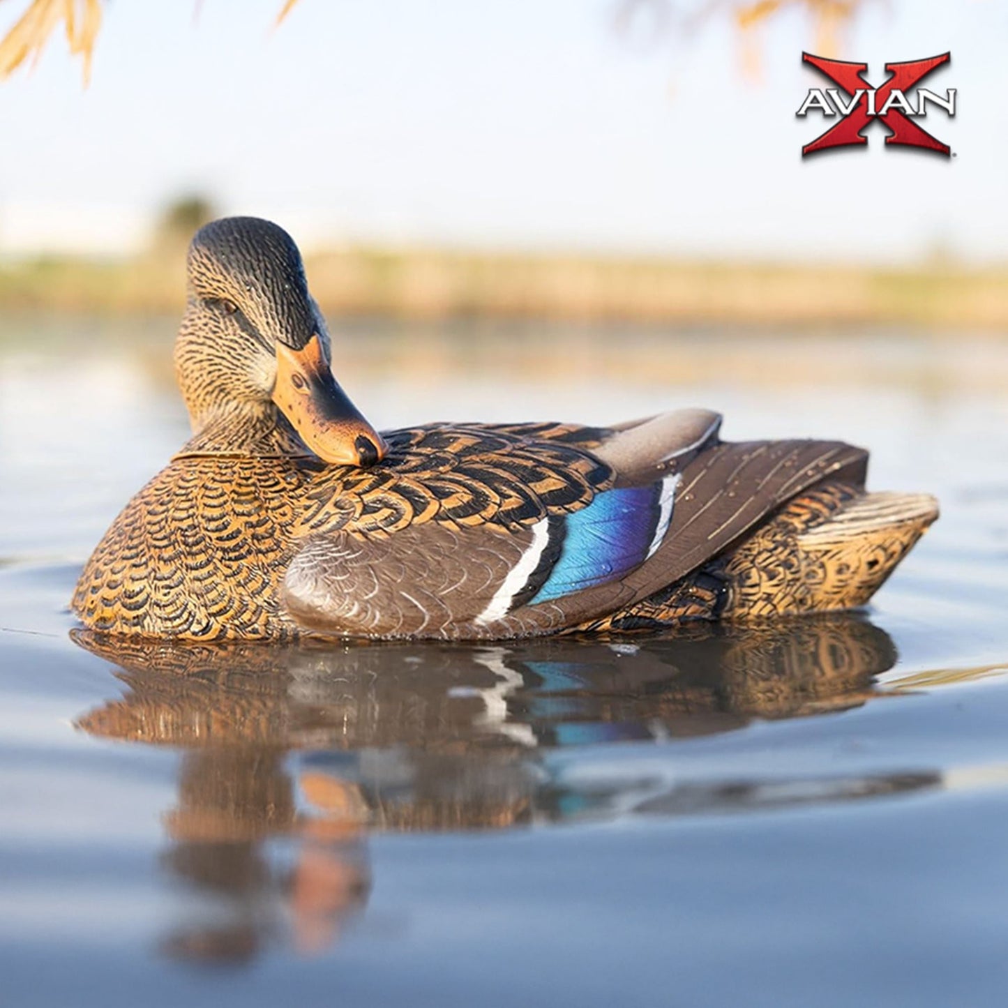 Avian X Power Shaker Motion Mallard Hen Preener Decoy, Mimic Realistic Motion