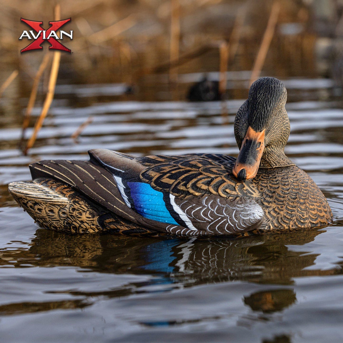 Avian X Power Shaker Motion Mallard Hen Preener Decoy, Mimic Realistic Motion