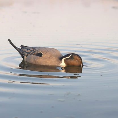 Avian-X Power Shaker Pintail Motion Duck Decoy Floating Surface Feeder, Brown