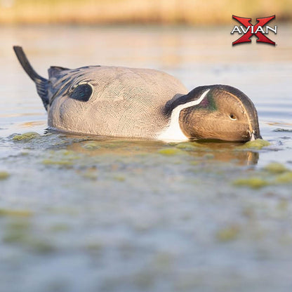 Avian-X Power Shaker Pintail Motion Duck Decoy Floating Surface Feeder, Brown