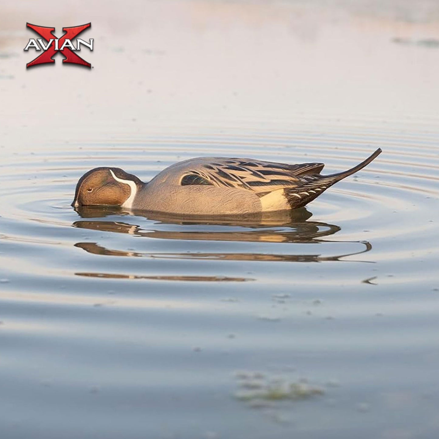 Avian-X Power Shaker Pintail Motion Duck Decoy Floating Surface Feeder, Brown