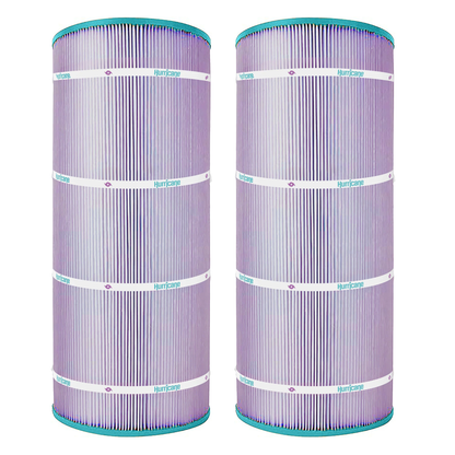 Hurricane 2 Pack HF9410-01P Platinum Purple Pool Filter Cartridge Replacement