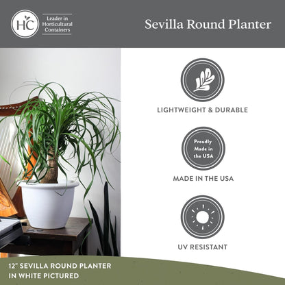 The HC Companies Sevilla Self-Watering Pot and Internal Disk 12 Inch, Cappuccino