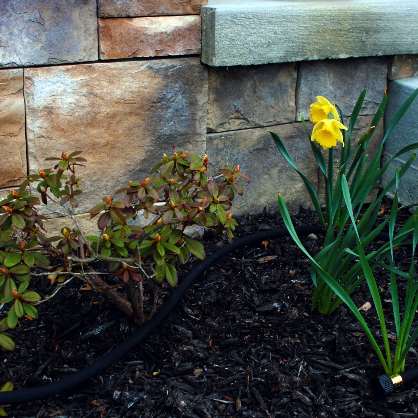 Good Ideas 50' Soaker Hose for Use with Rain Barrels, Gradually Releases Water