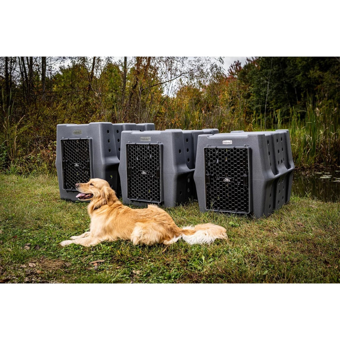 Dakota 283 Canine Rough and Tough Economy Pet Kennel, Intermediate, Dark Granite