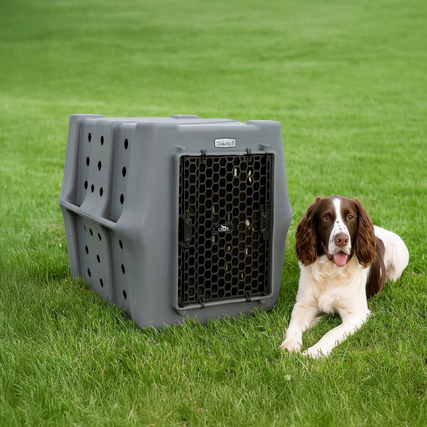 Dakota 283 Canine Rough and Tough Economy Pet Kennel, Intermediate, Dark Granite