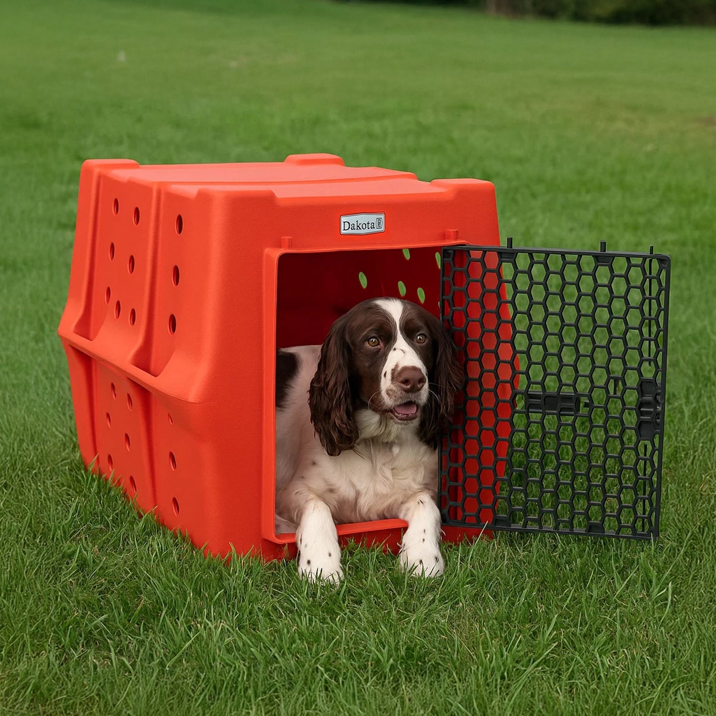 Dakota 283 Canine Rough and Tough Economy Pet Kennel, Intermediate, Orange