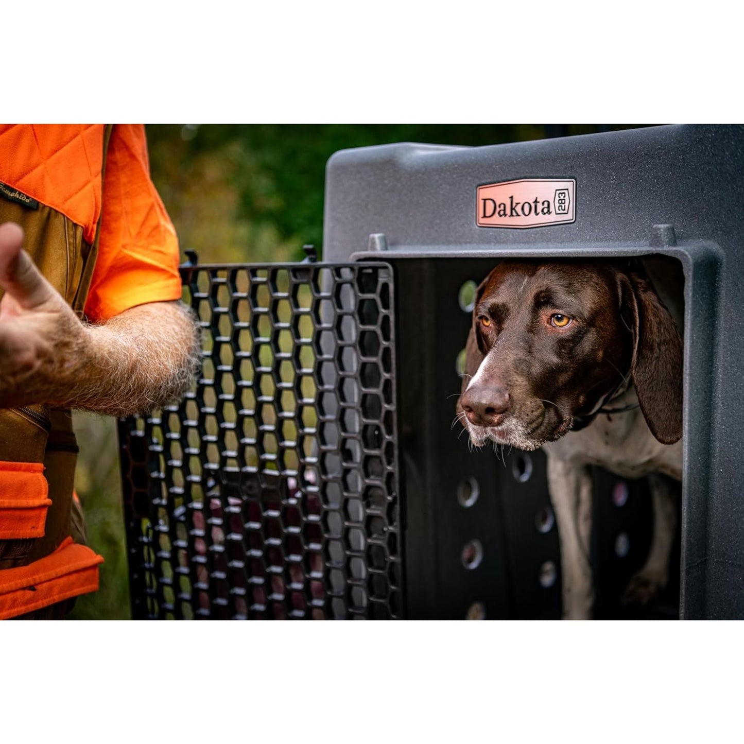Dakota 283 Canine Rough and Tough Economy Pet Kennel, Large, Dark Granite