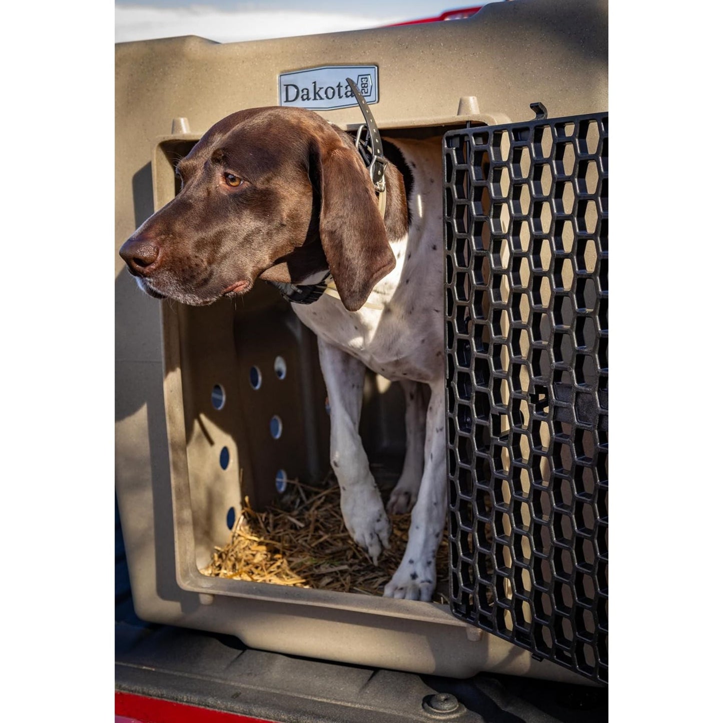 Dakota 283 Canine Rough and Tough Economy Pet Kennel, Large, Coyote Granite