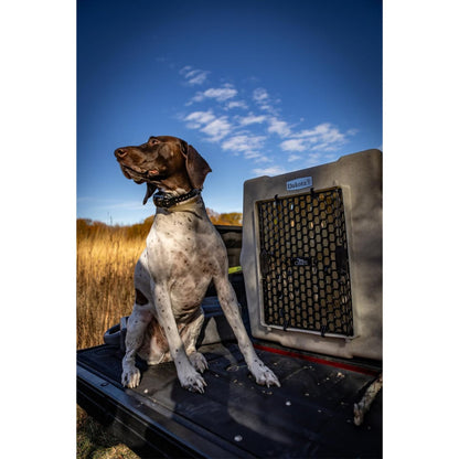 Dakota 283 Canine Rough and Tough Economy Pet Kennel, Large, Sandstone