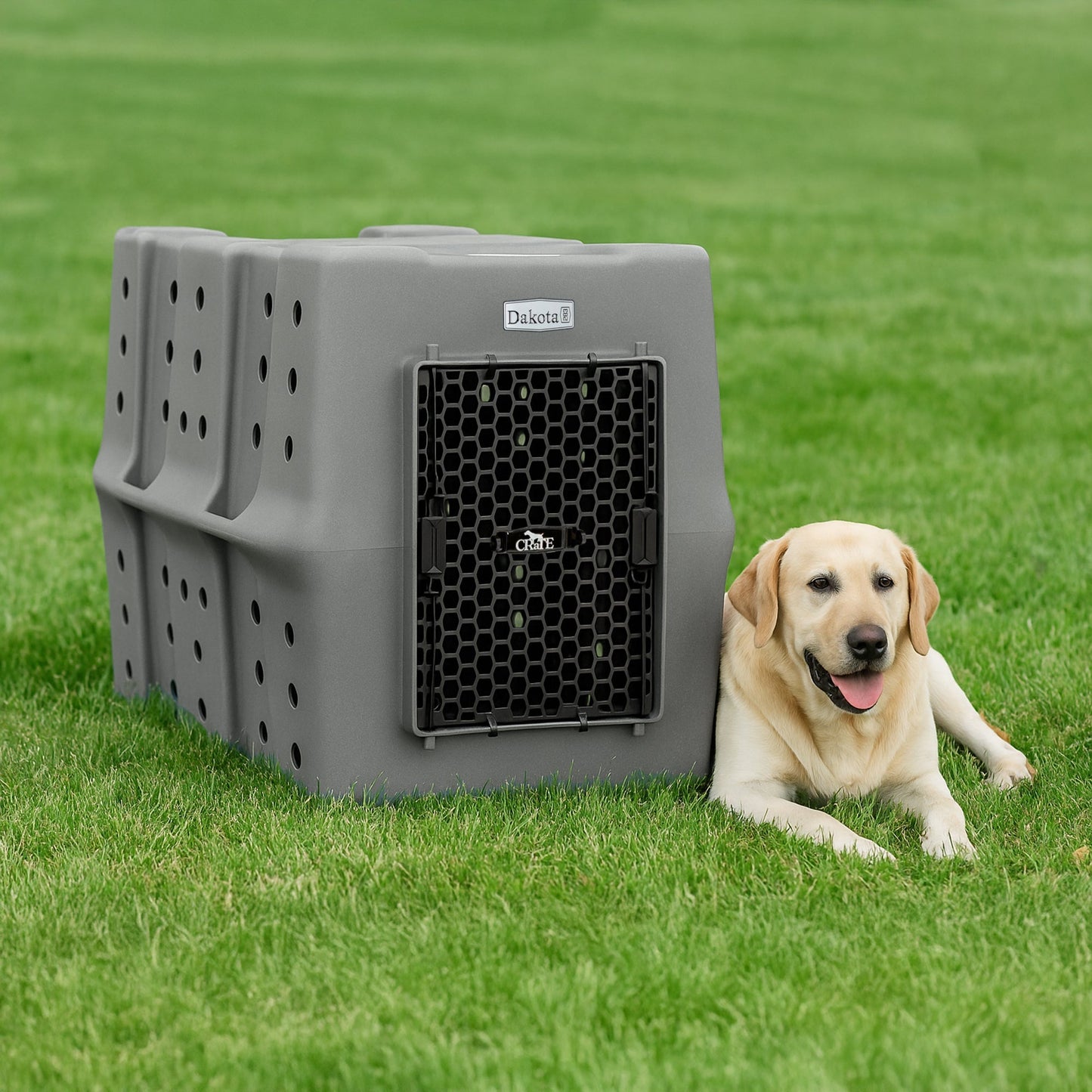 Dakota 283 Canine Rough and Tough Economy Pet Kennel, X-Large, Dark Granite