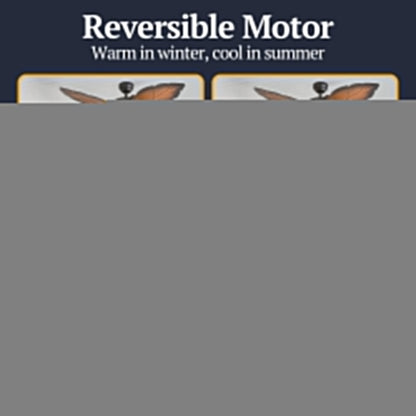 Prominence Home Ocean Crest 52" Tropical Indoor or Outdoor ceiling Fan, Bronze