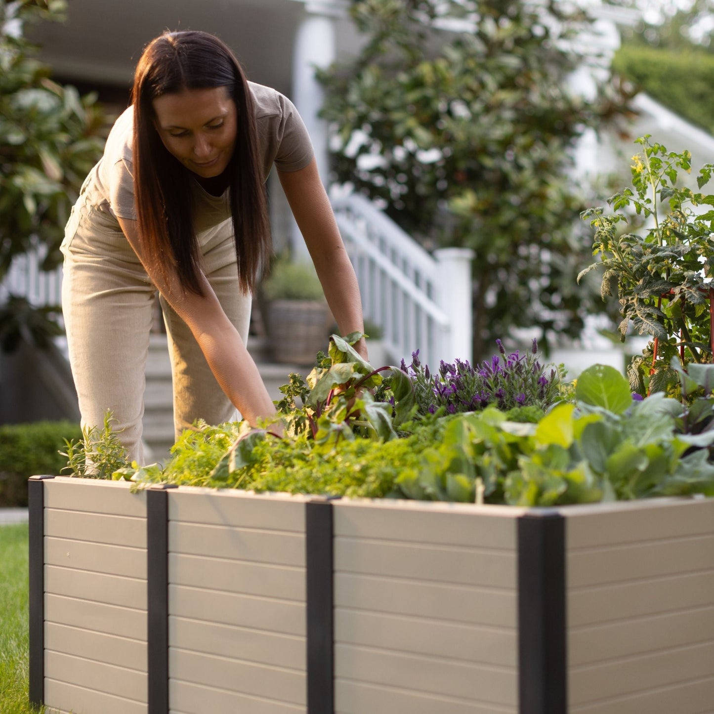 Tierra Verde 48-Inch x 48-Inch Raised Garden Bed for Patios or Decks, Khaki