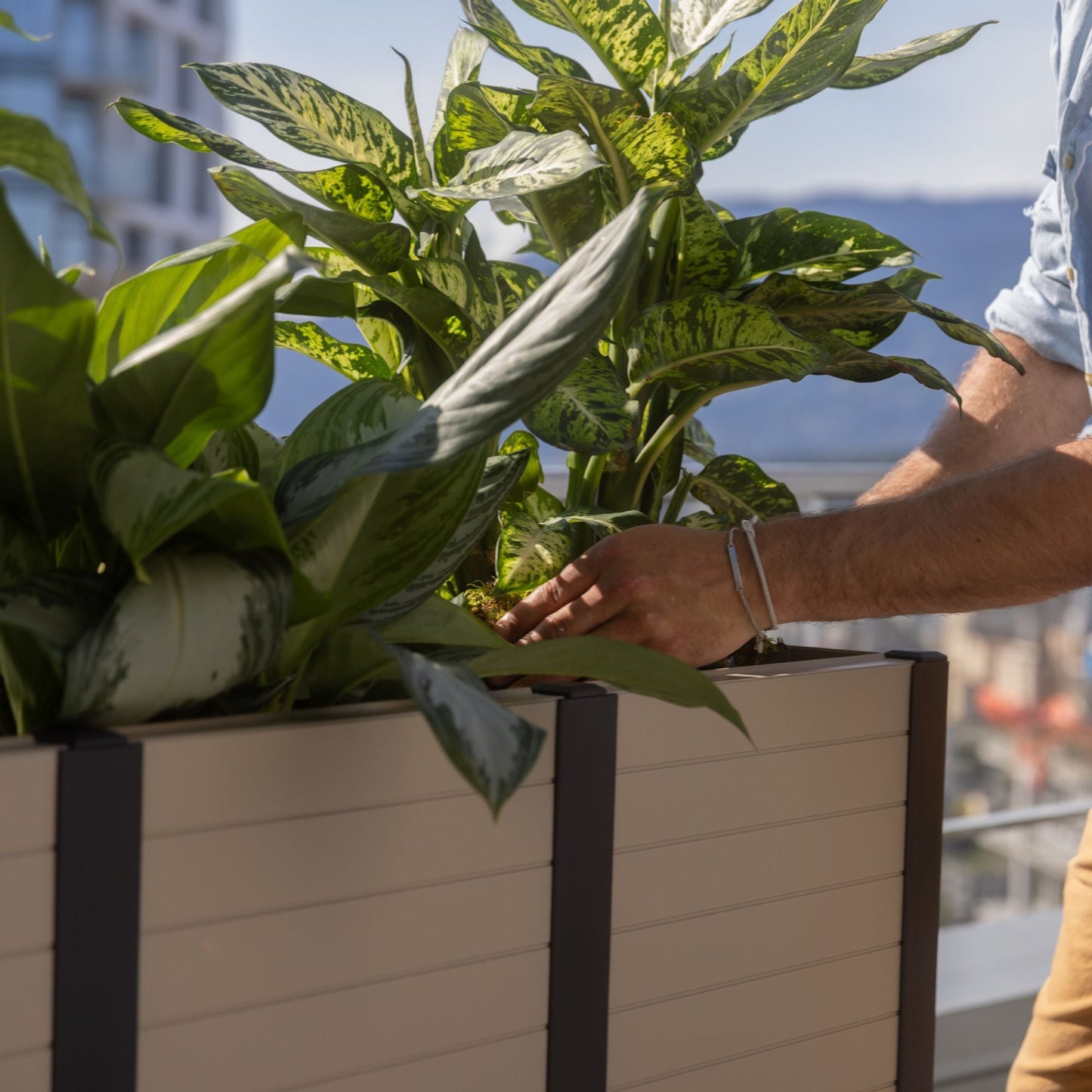 Tierra Verde 17-Inch x 48-Inch Raised Garden Trough Box for Patio or Deck, Khaki