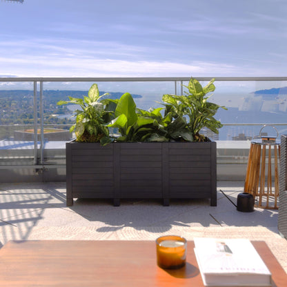 Tierra Verde 17-Inch x 48-Inch Raised Garden Trough Box for Patio or Deck, Black