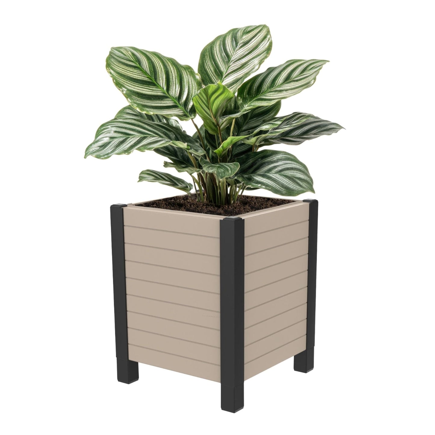 Tierra Verde 17-Inch x 17-Inch Flora Cube Planter Box for Patios or Decks, Khaki