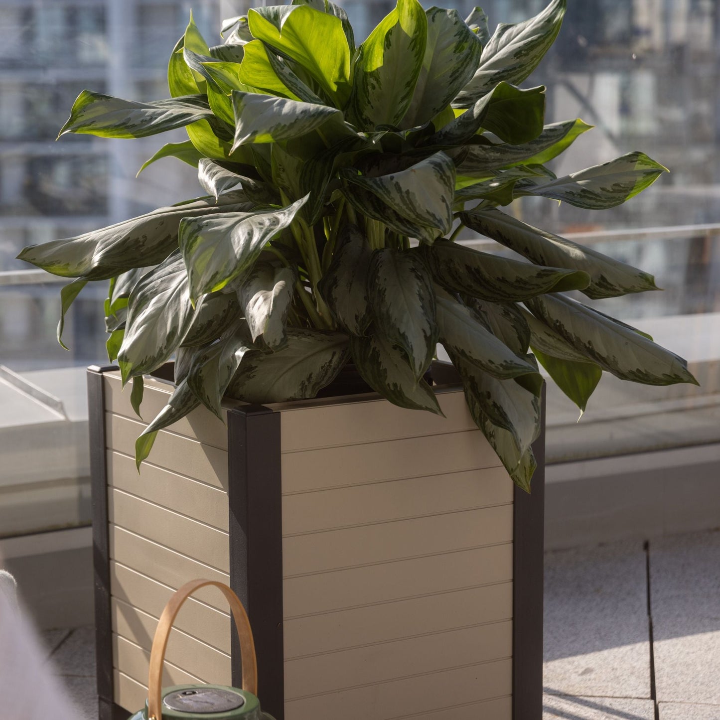 Tierra Verde 17-Inch x 17-Inch Flora Cube Planter Box for Patios or Decks, Khaki