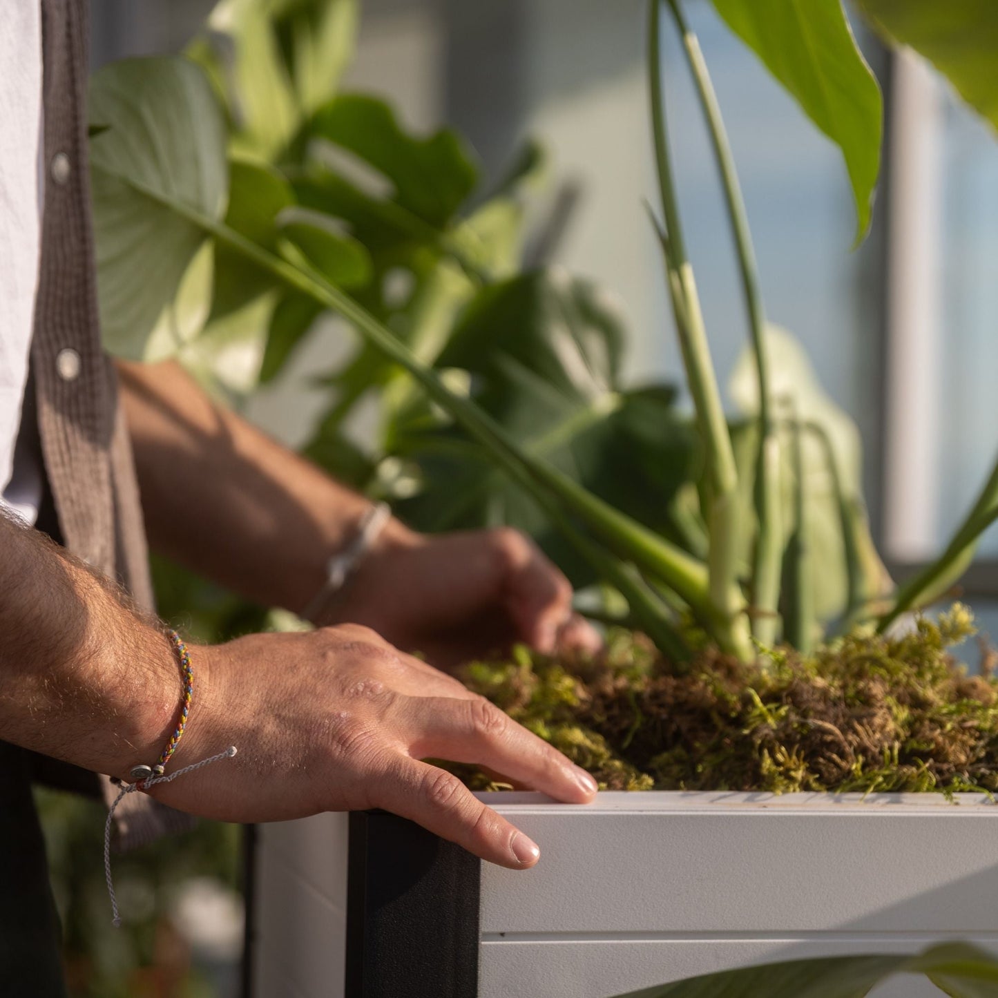 Tierra Verde 17-Inch x 17-Inch Flora Cube Planter Box for Patios or Decks, Khaki