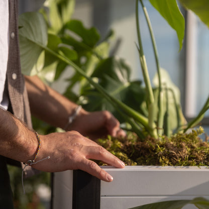 Tierra Verde 17-Inch x 17-Inch Flora Cube Planter Box for Patios or Decks, Khaki