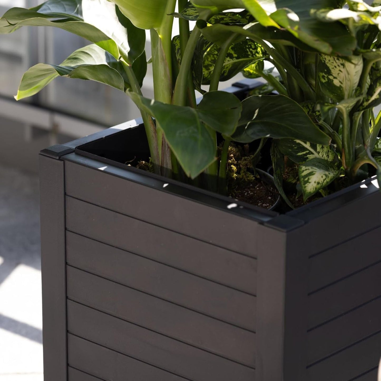 Tierra Verde 17-Inch x 17-Inch Flora Cube Planter Box for Patios or Decks, Black