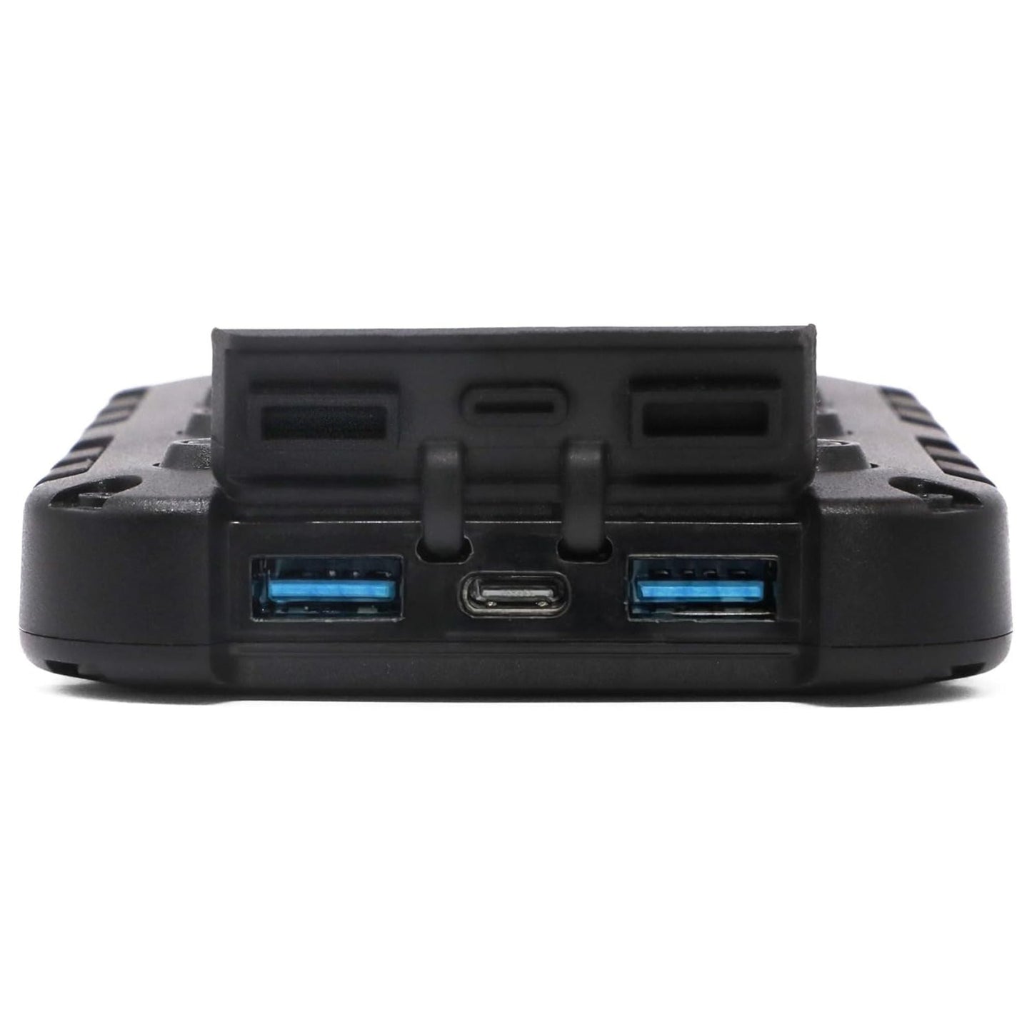 Lion Energy Lion Cub Portable Power Bank with Built-In 50 Lumens Floodlight