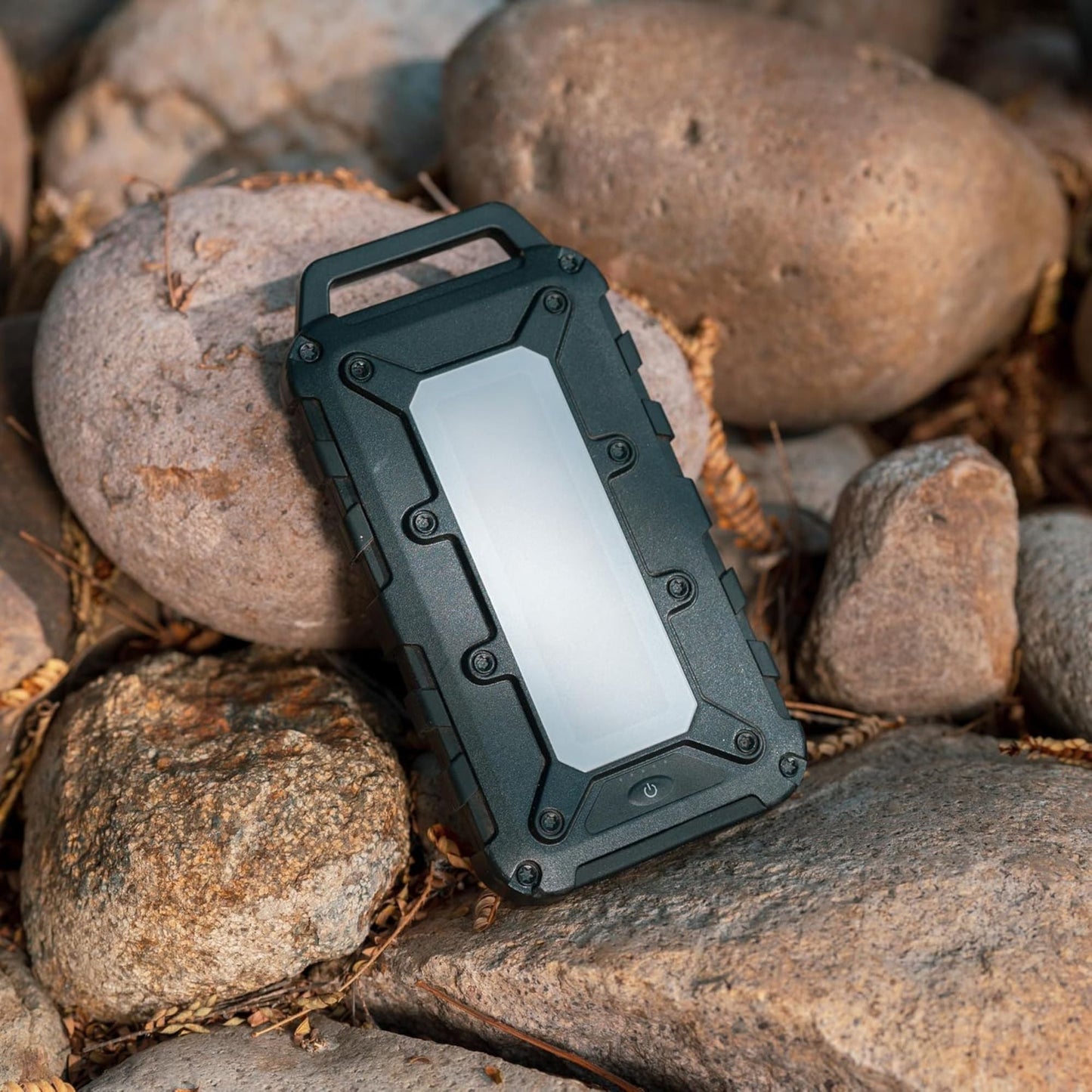 Lion Energy Lion Cub Portable Power Bank with Built-In 50 Lumens Floodlight