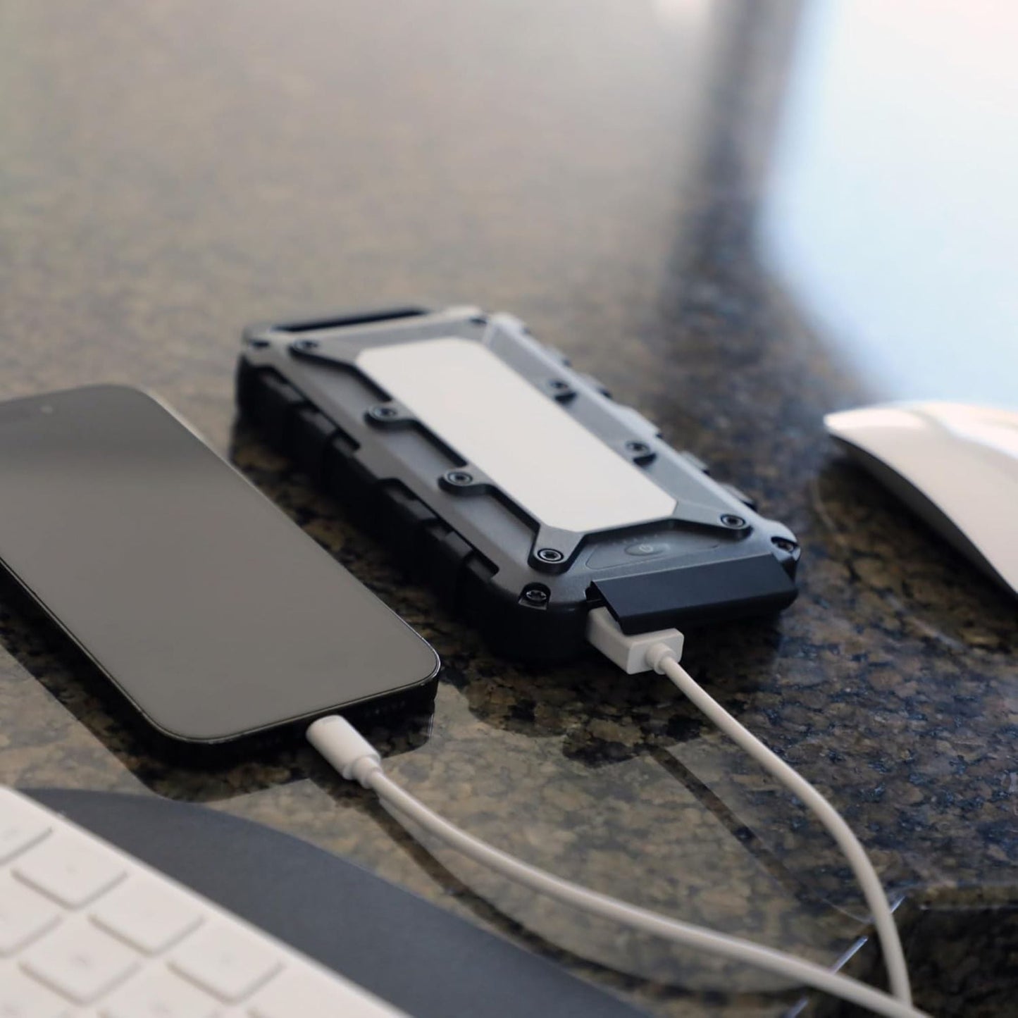 Lion Energy Lion Cub Portable Power Bank with Built-In 50 Lumens Floodlight