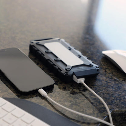 Lion Energy Lion Cub Portable Power Bank with Built-In 50 Lumens Floodlight