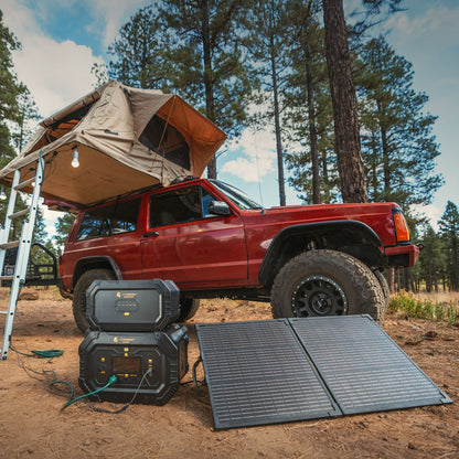 Lion Energy Safari Solar Power Generator, Multiple Outputs, 3,000 Watts, Black