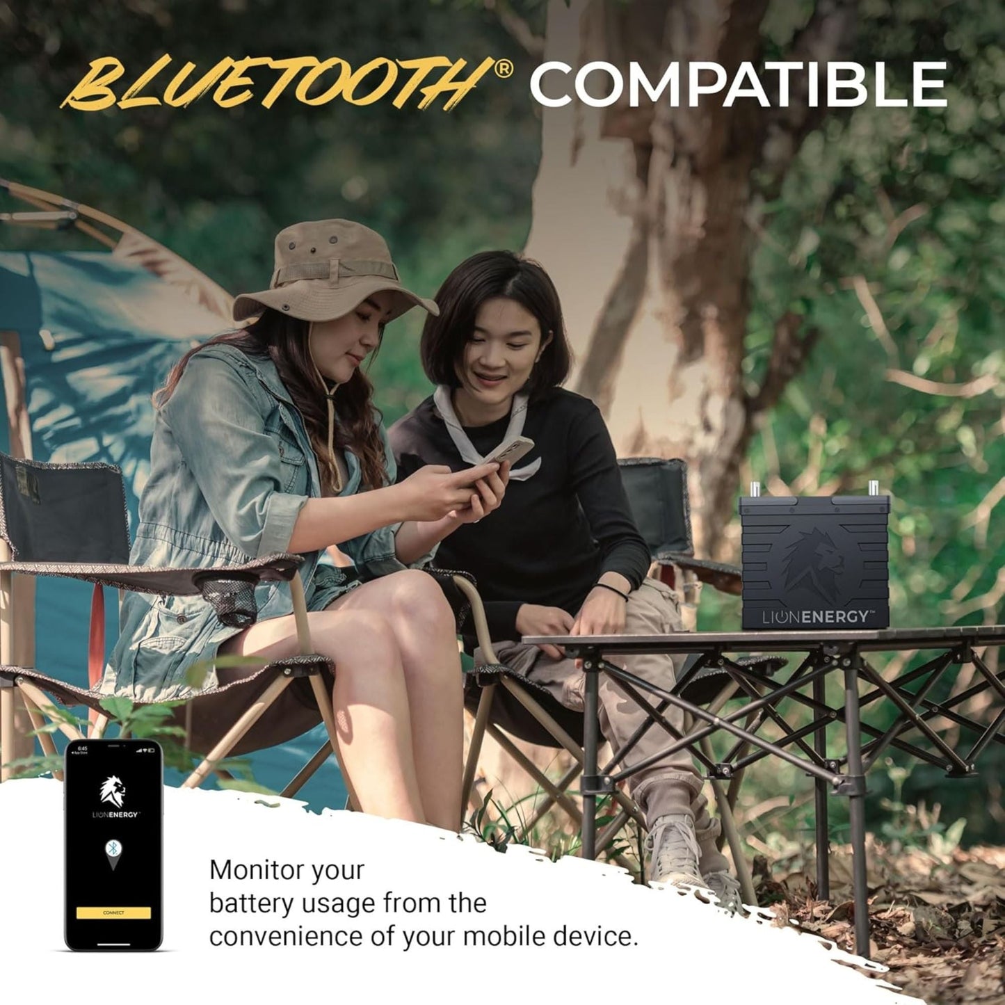 Lion Energy Lithium Rechargeable Deep Cycle Battery, Bluetooth, UT1300 BT, Black