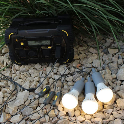 Lion Energy 3 Pack LED String Light Bulb with 15-Foot Cord and USB Connector