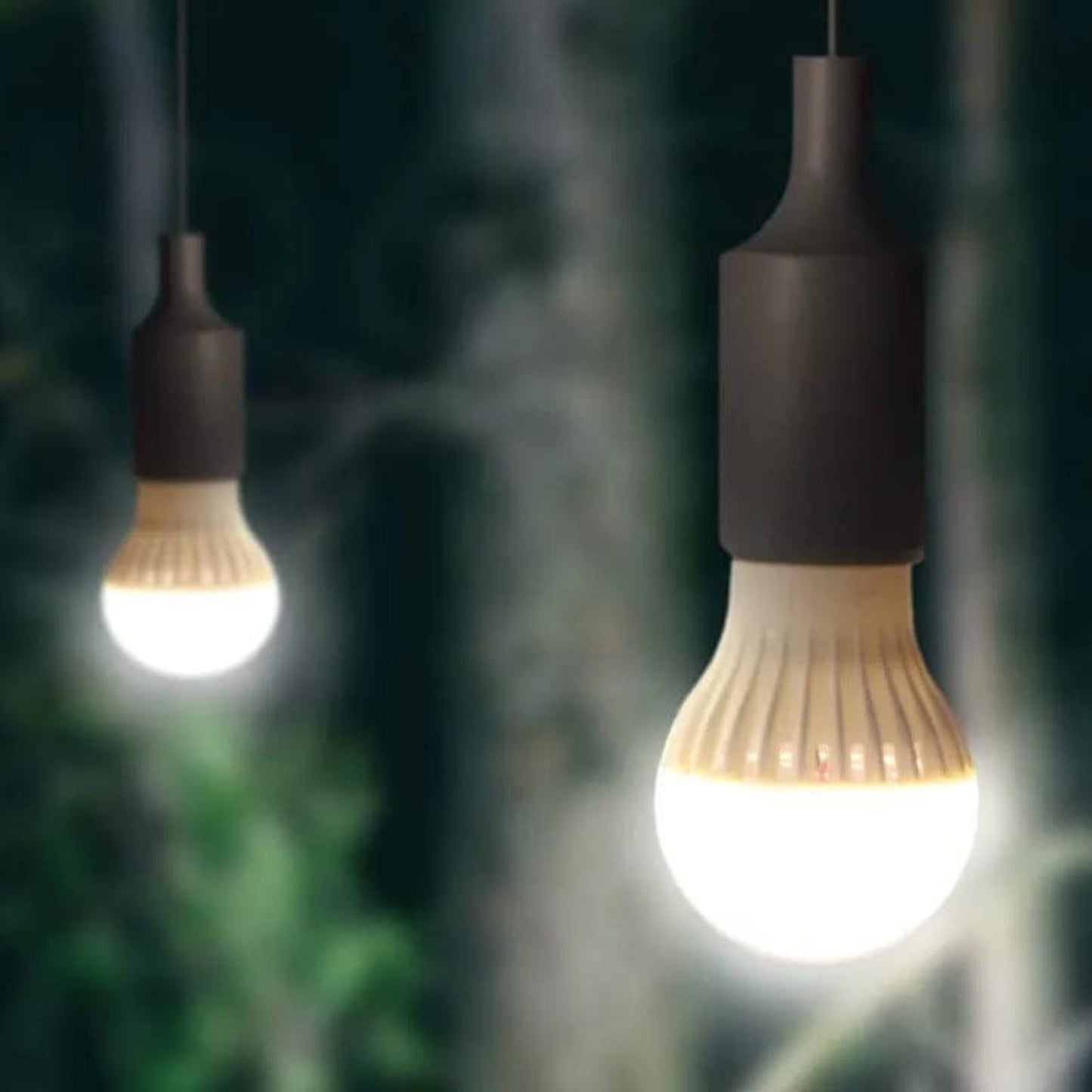 Lion Energy 3 Pack LED String Light Bulb with 15-Foot Cord and USB Connector