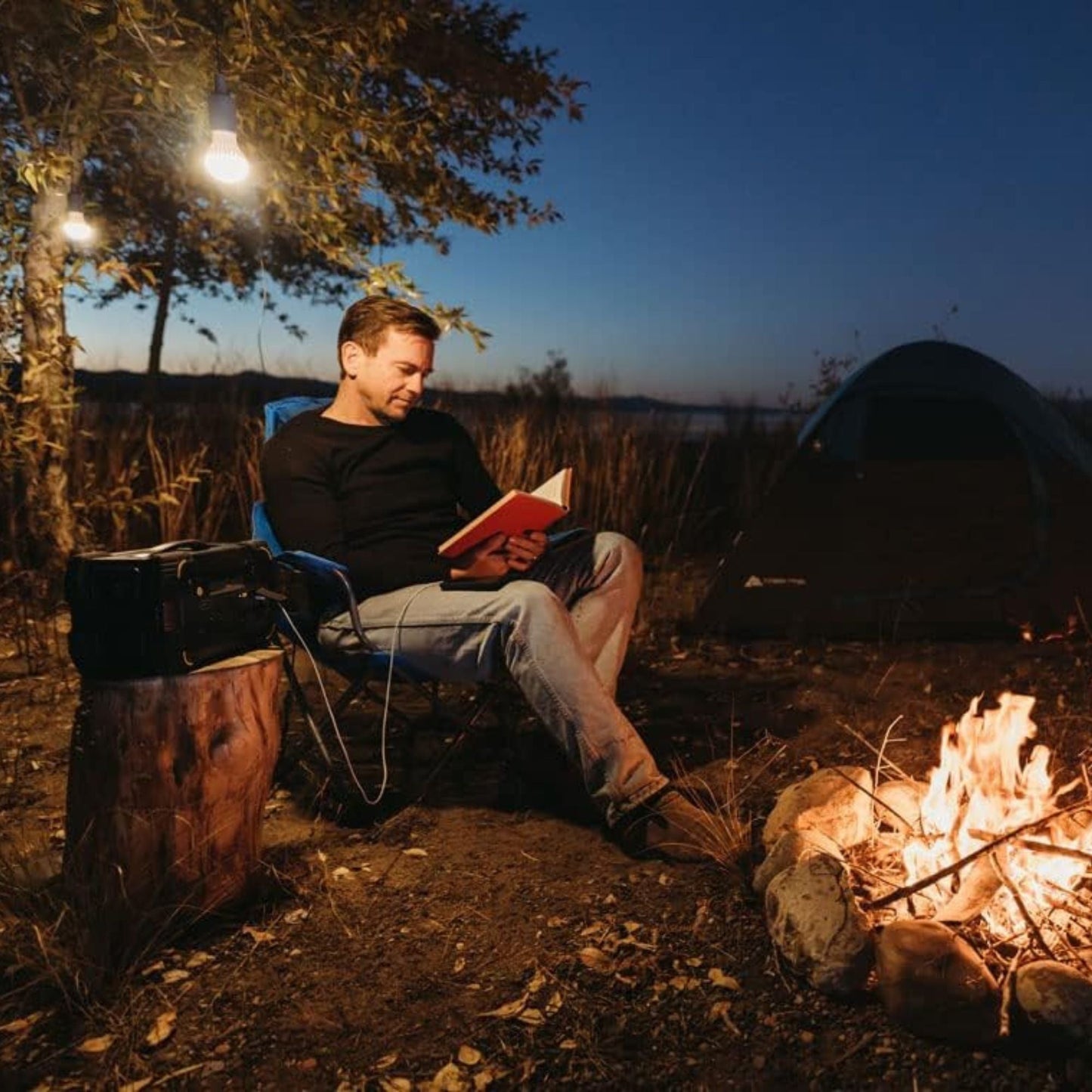 Lion Energy 3 Pack LED String Light Bulb with 15-Foot Cord and USB Connector