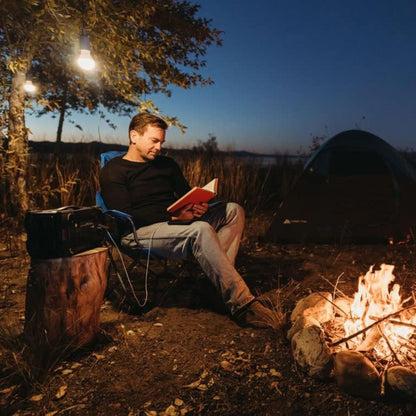 Lion Energy 3 Pack LED String Light Bulb with 15-Foot Cord and USB Connector