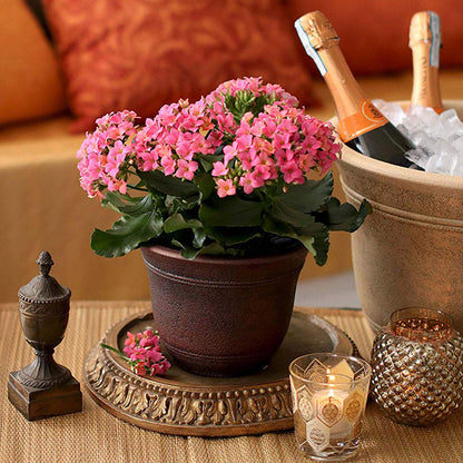 Listo SRA13001P05 13-Inch Round Plastic Sierra Planter, Rustic Redstone (6 Pack)