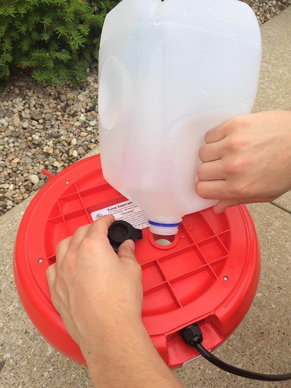 Farm Innovators Heated Plastic Hanging Poultry Water Fountain, Red (4 Pack)